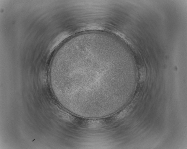 X0000072981266200608041234