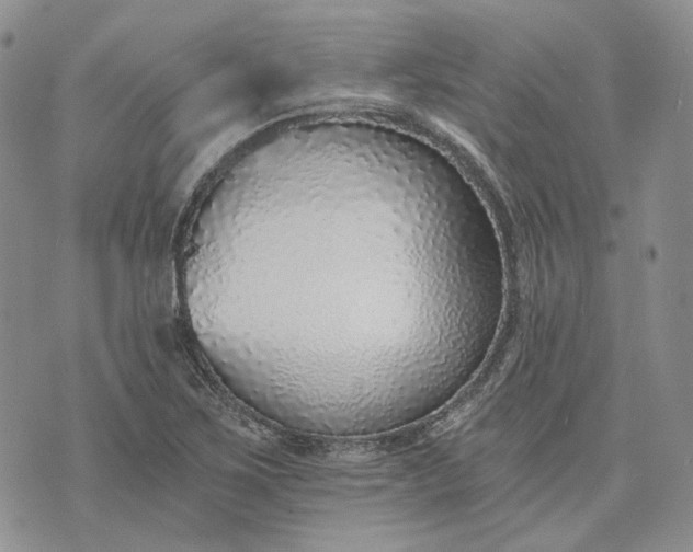 X0000072981267200608041234