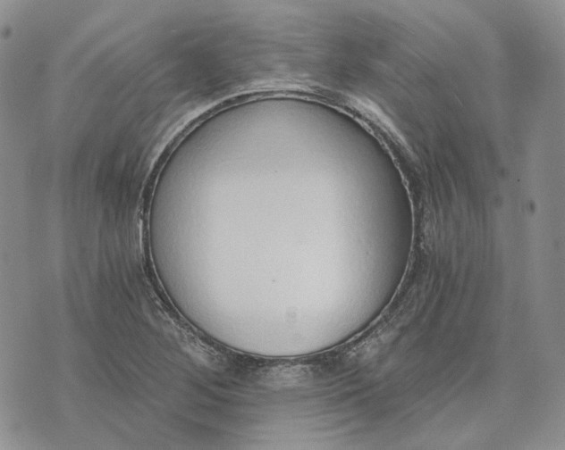 X0000072981268200608041234