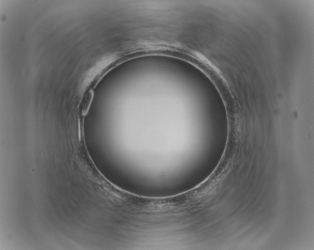 X0000072981269200608041234