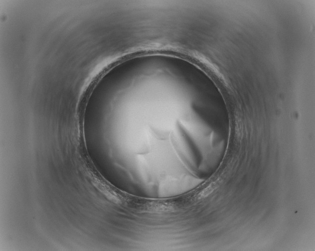 X0000072981270200608041234