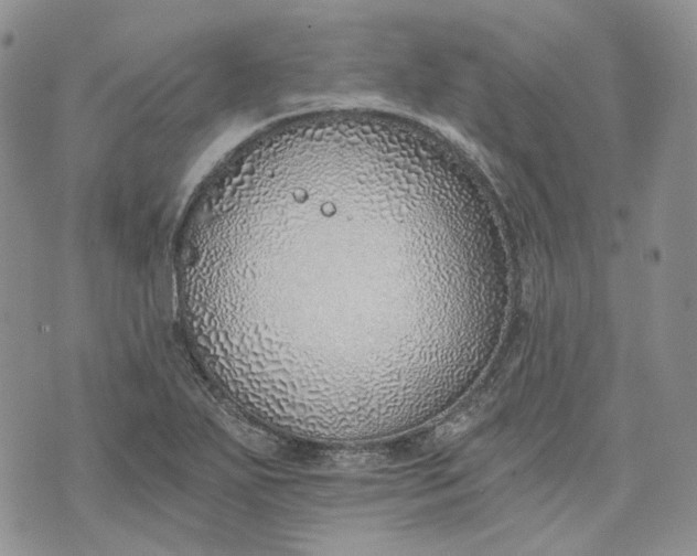 X0000072981271200608041234