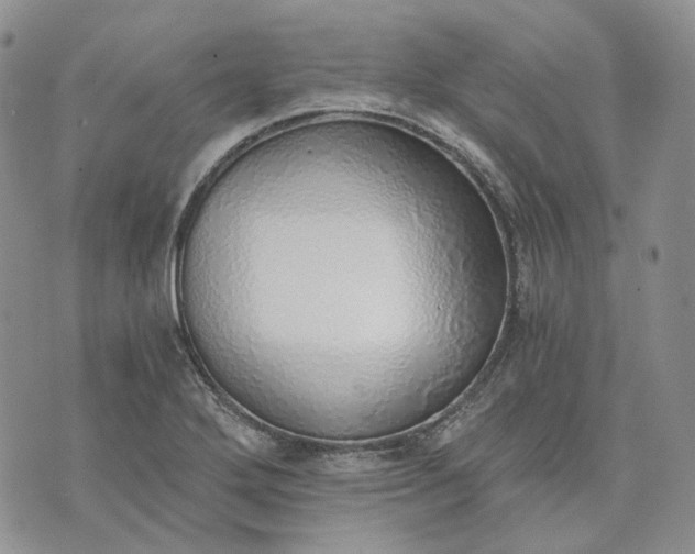 X0000072981272200608041234