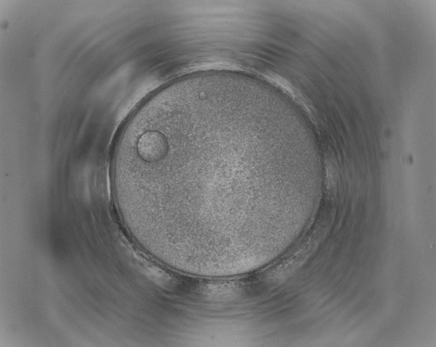 X0000072981274200608041234