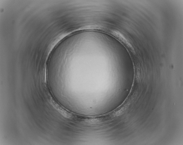 X0000072981276200608041234