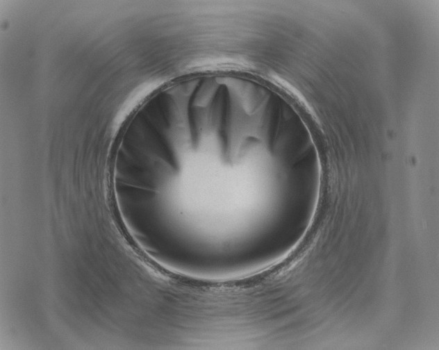 X0000072981277200608041234