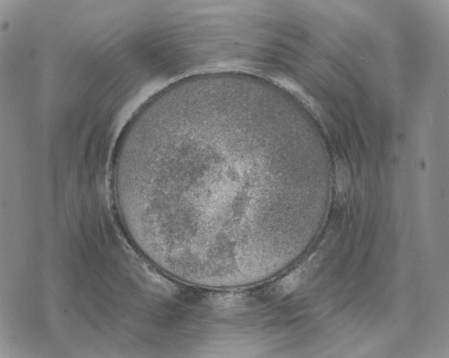 X0000072981278200608041234