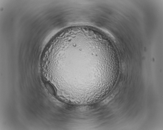 X0000072981279200608041234