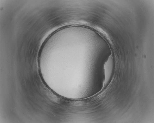 X0000072981280200608041234