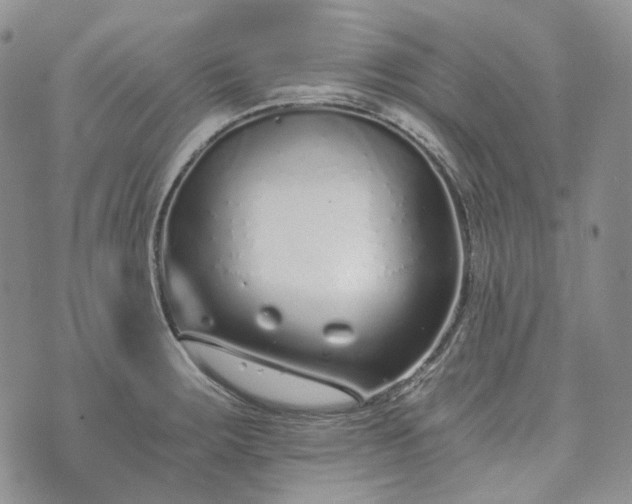 X0000072981283200608041234