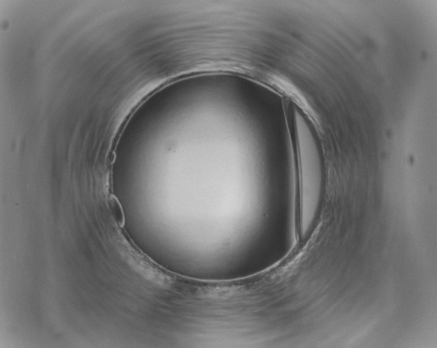 X0000072981284200608041234