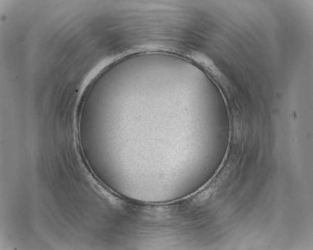 X0000072981286200608041234