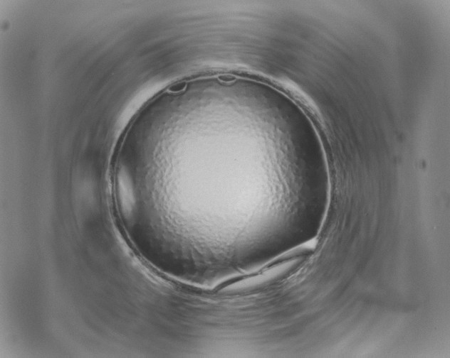 X0000072981287200608041234