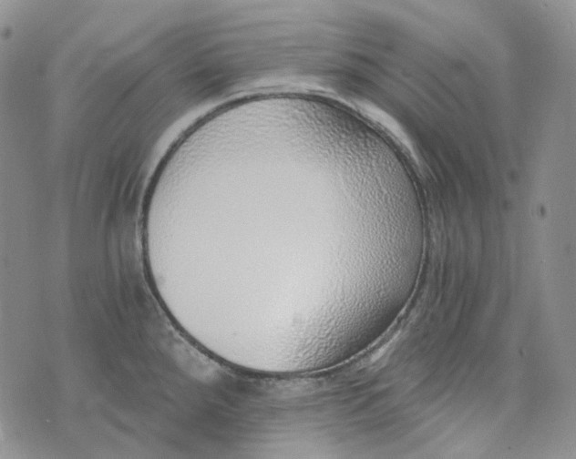 X0000072981288200608041234