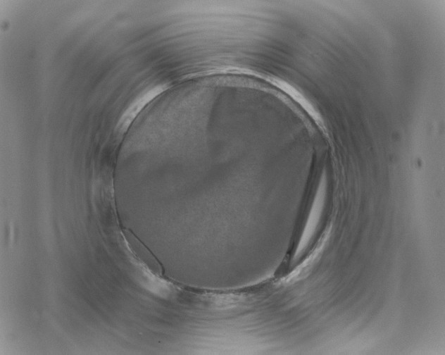 X0000072981289200608041234