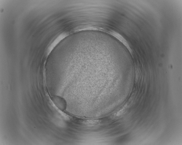 X0000072981290200608041234