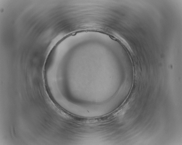 X0000072981291200608041234