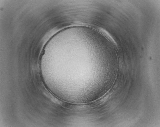 X0000072981292200608041234