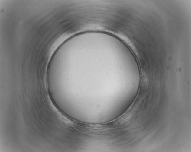 X0000072981295200608041234