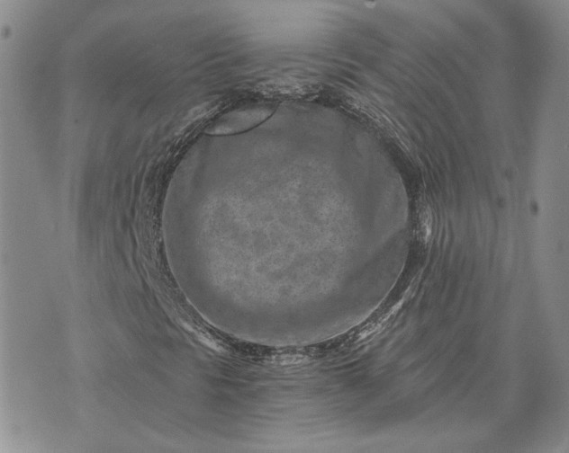 X0000072981297200608041233