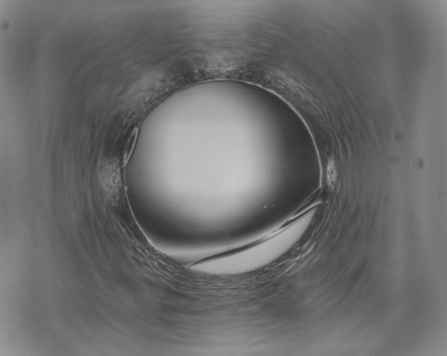 X0000072981299200608041233