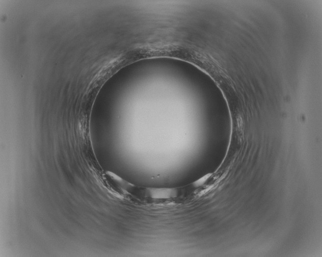 X0000072981300200608041233