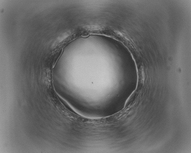 X0000072981301200608041233