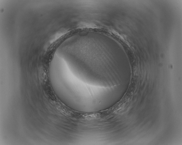 X0000072981303200608041233