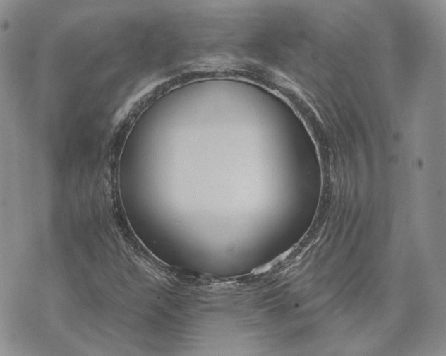 X0000072981304200608041233