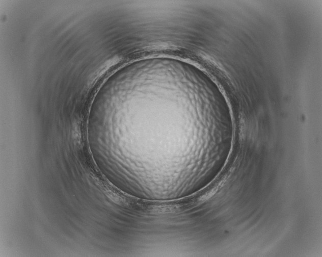 X0000072981305200608041233