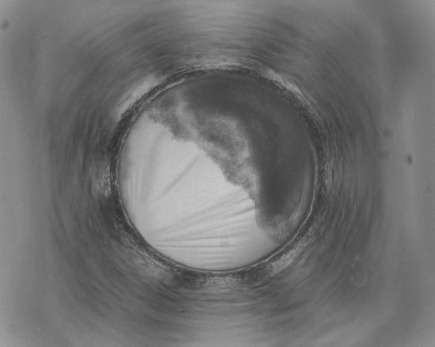 X0000072981306200608041233