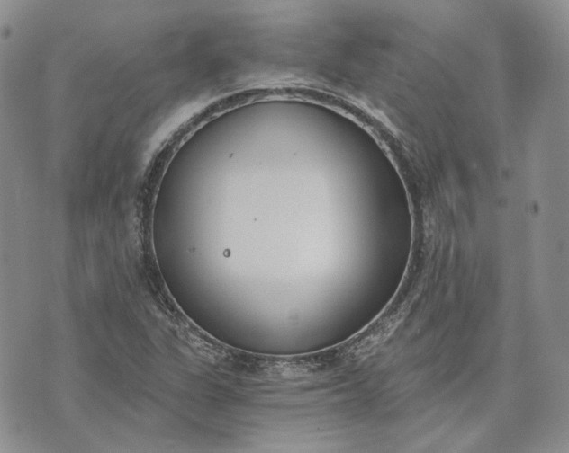 X0000072981311200608041233