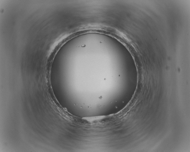 X0000072981312200608041233