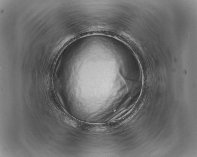 X0000072981313200608041233