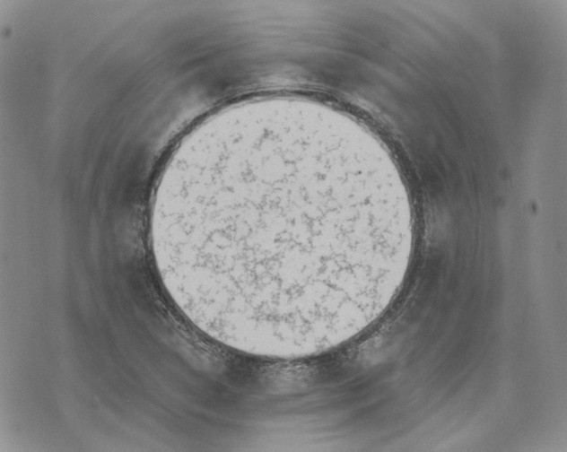 X0000072981314200608041233