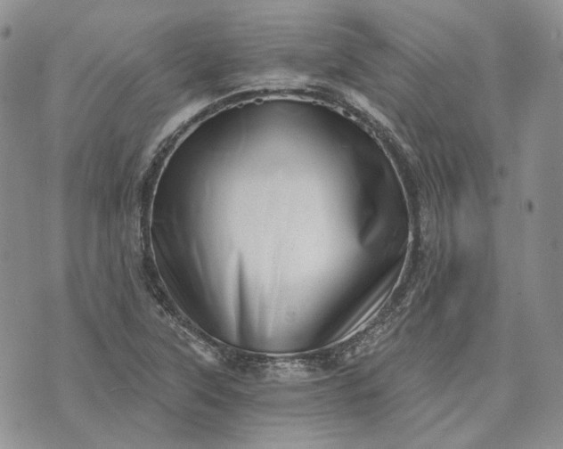 X0000072981315200608041233