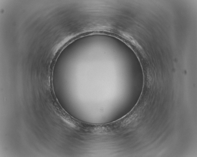 X0000072981316200608041233