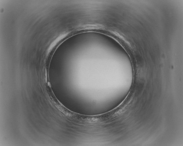 X0000072981317200608041233