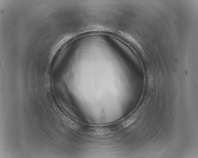 X0000072981318200608041233