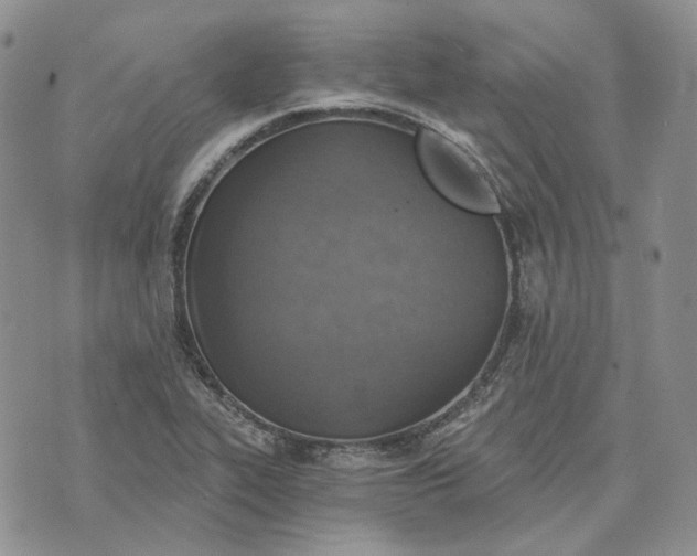 X0000072981319200608041233