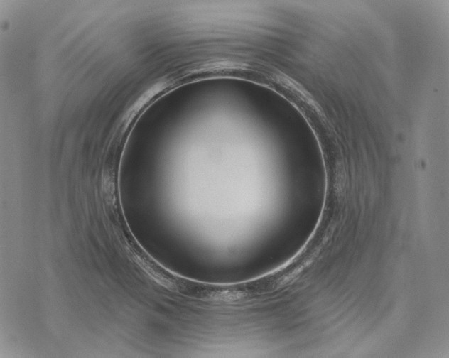 X0000072981321200608041233