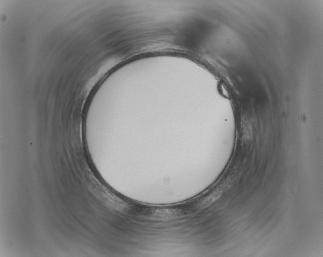 X0000072981322200608041233