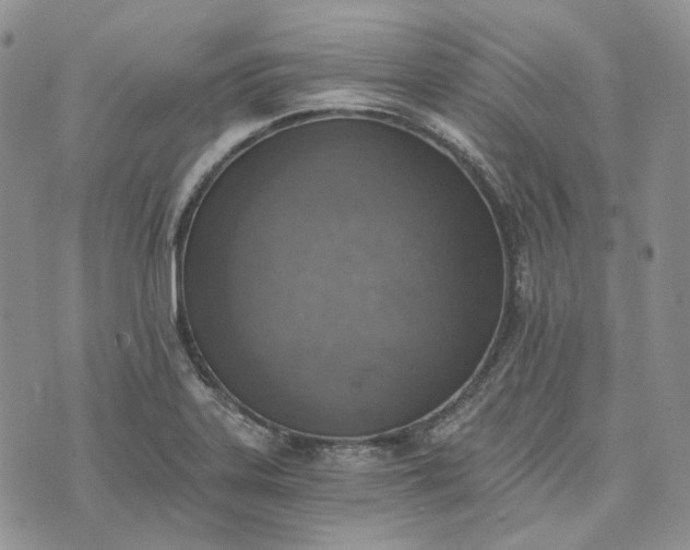 X0000072981323200608041233