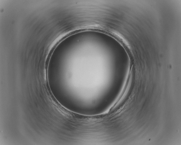 X0000072981324200608041233