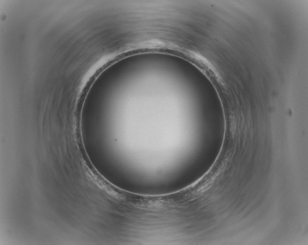 X0000072981326200608041233