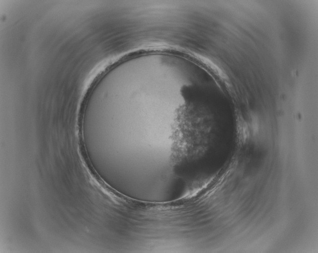 X0000072981327200608041233