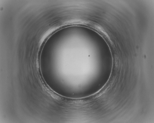 X0000072981328200608041233