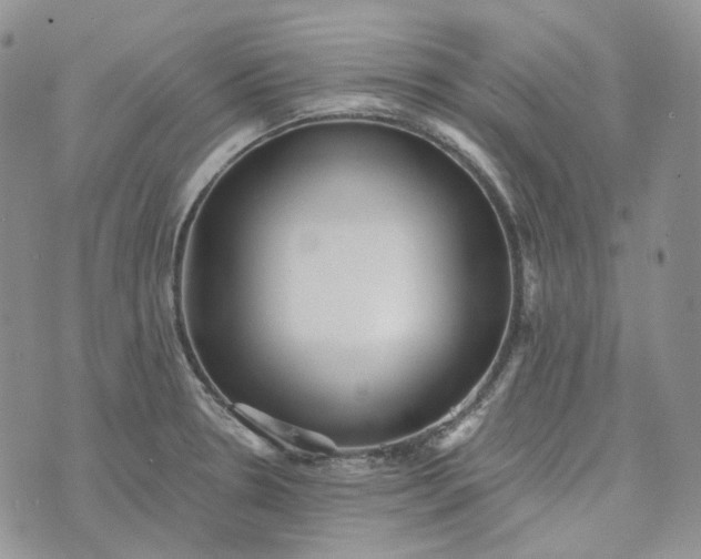 X0000072981330200608041233