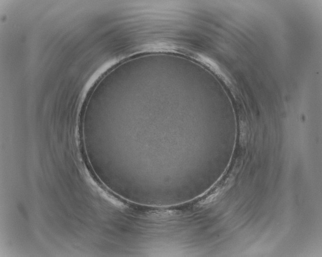 X0000072981331200608041233