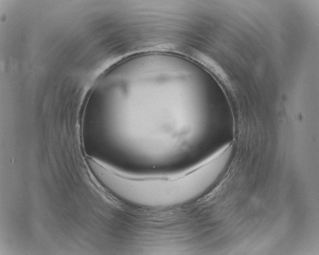 X0000072981332200608041233